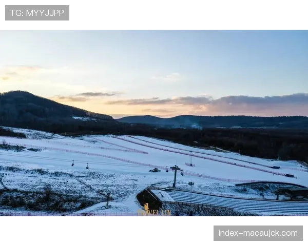长白山队进攻节奏偏慢 回合数85左右制约快速转换进攻机会